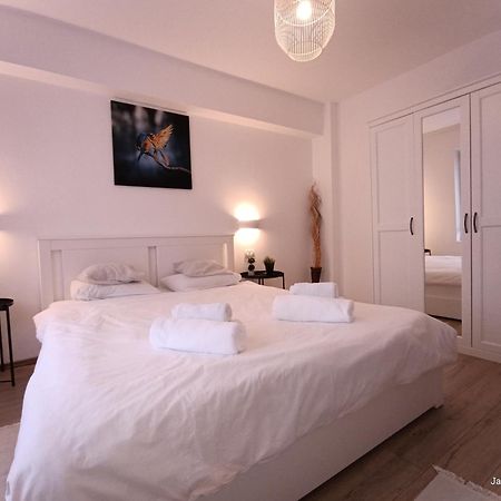 Cozy Apartment City Center Бухарест Экстерьер фото